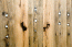 new_mg_3488