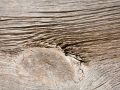 new_mg_3330
