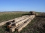 Hand Hewn Timber